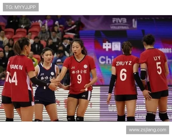 南京排球队实力深度解析与对比分析报告